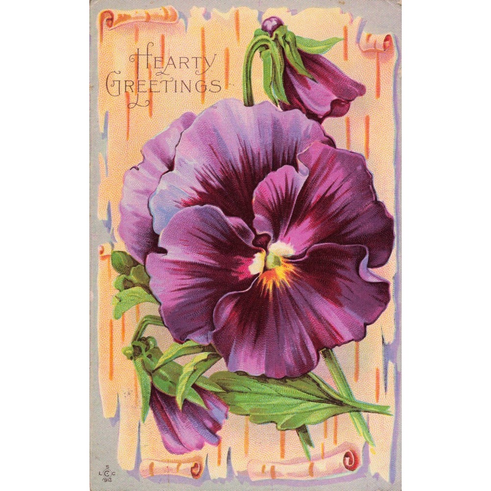Vintage Hearty Greetings Purple Pansy Postcard 1912 LCC Series 258 Floral Litho - Picture 1 of 2